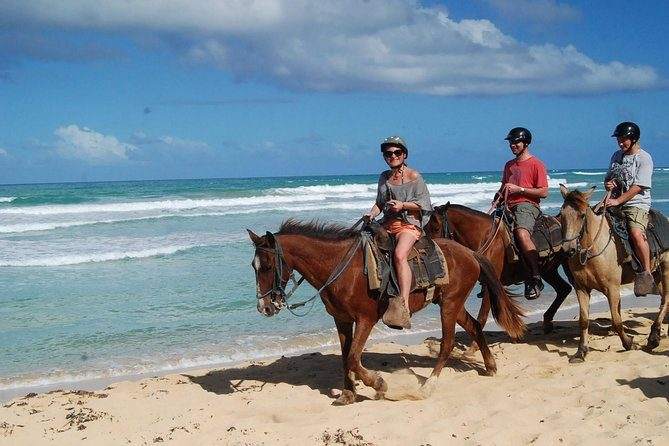 Paseo a caballo por la arena de la playa en Punta Cana