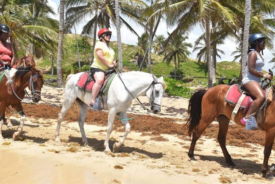 Grupo a caballo por la arena entre palmeras