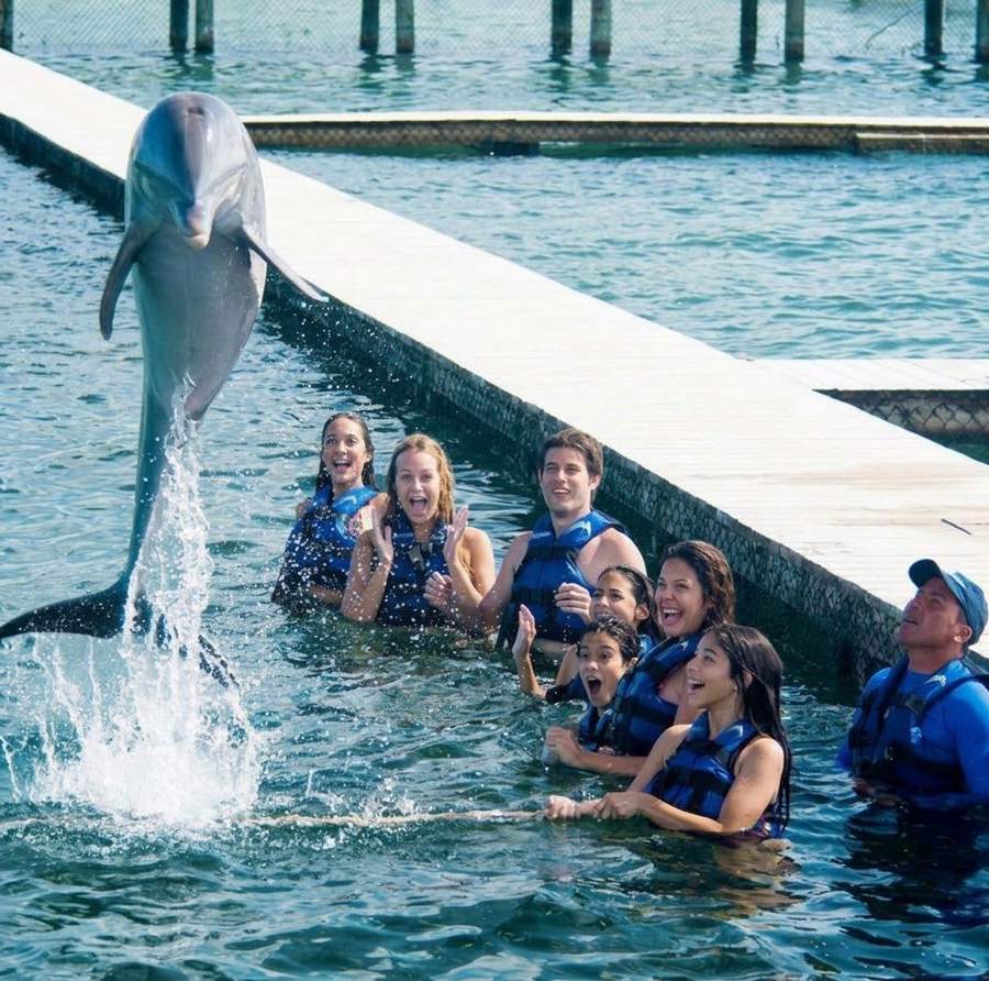 Grupo con chalecos en el agua viendo saltar a un delfín