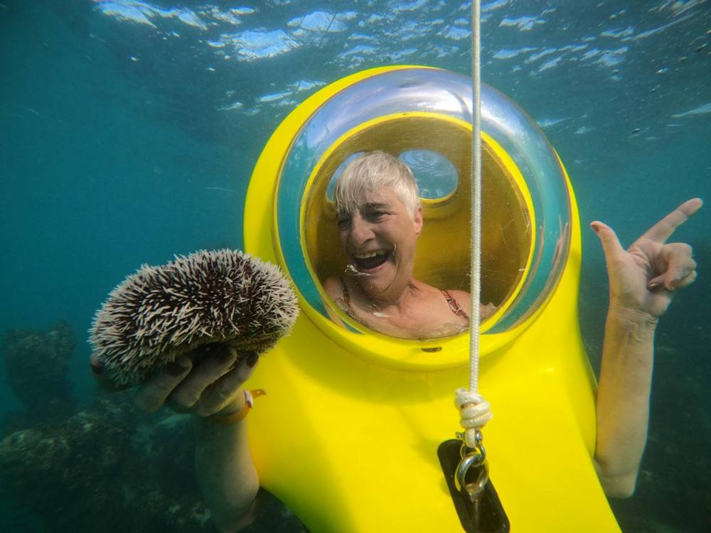 Visitante riendo dentro de la cúpula del scooter submarino con un erizo en la mano