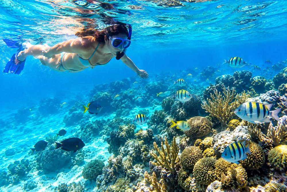 Persona haciendo snorkel sobre un arrecife de coral con peces de colores
