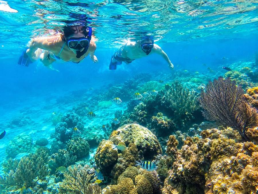 Pareja haciendo snorkel sobre el arrecife de coral