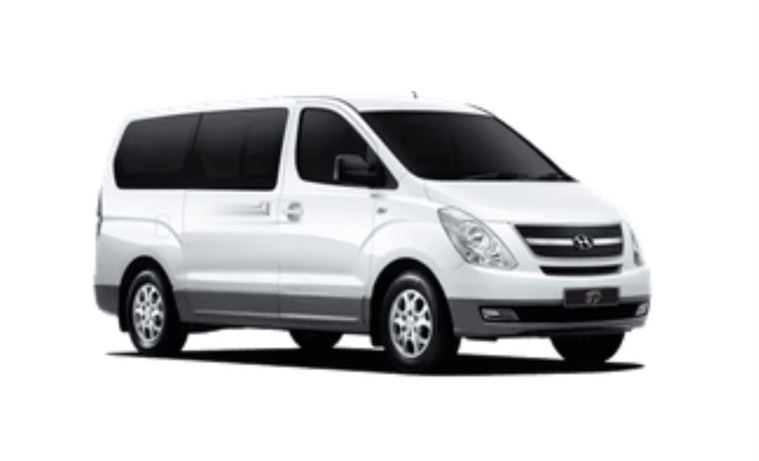 Minivan para traslados privados en Punta Cana